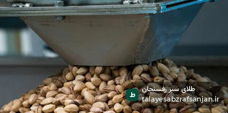 مدخل دانش‌نامه: سورت و درجه‌بندی | روش اجرایی و چک‌لیست